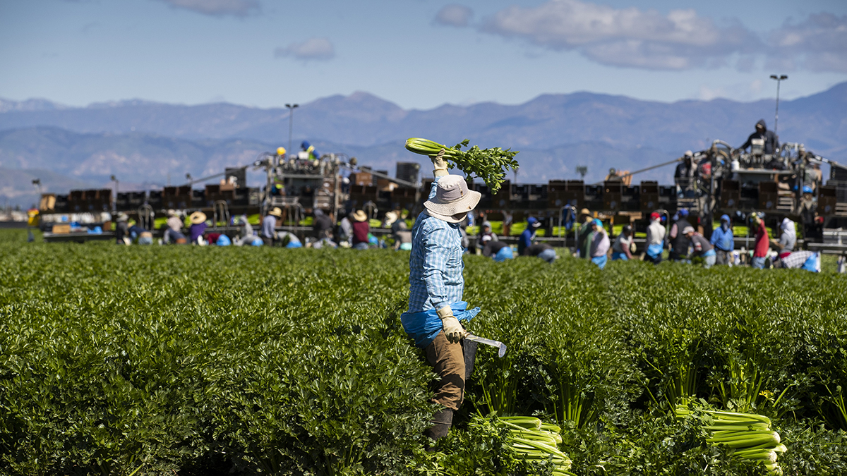 U S Temporary Foreign Worker Visa Programs Council On Foreign Relations