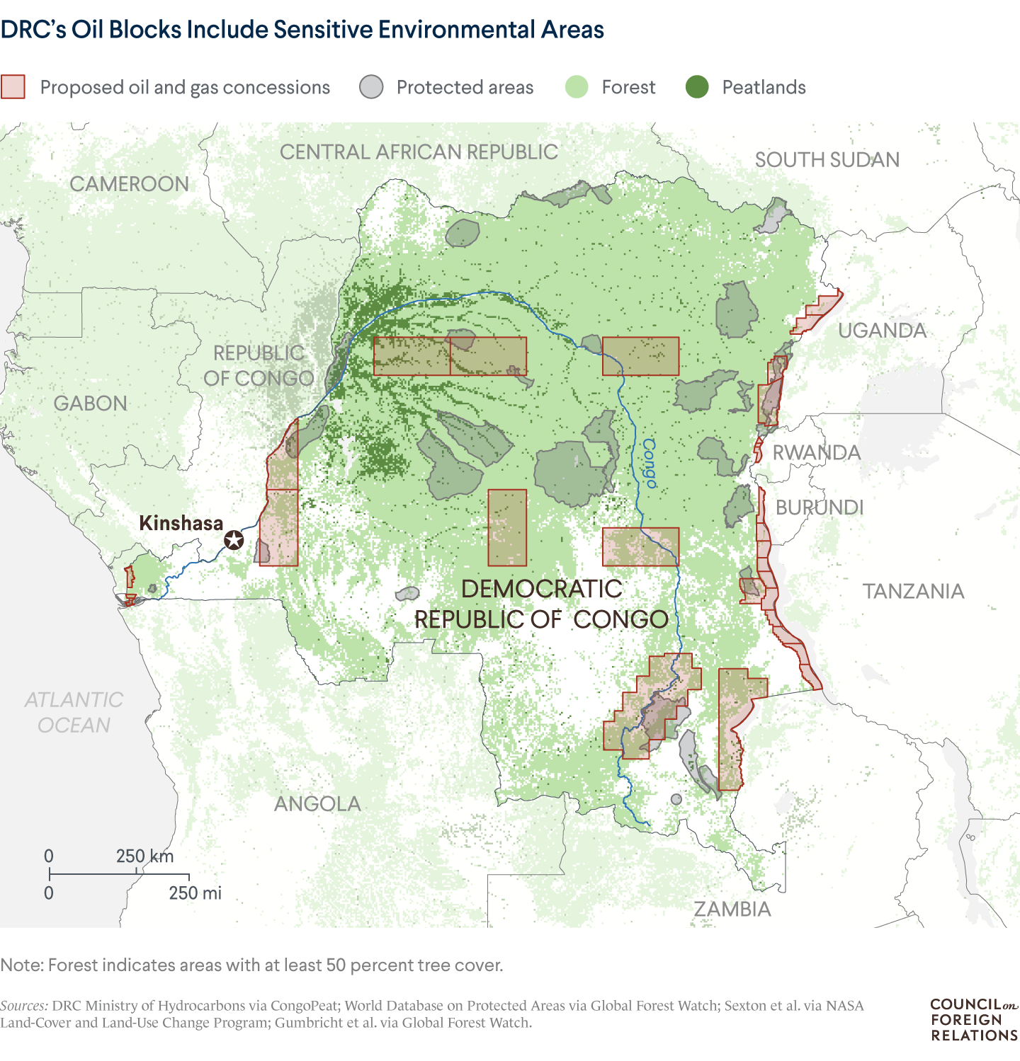 What's Behind the DRC's Decision to Auction Off Some of Its Rain Forest? |  Council on Foreign Relations