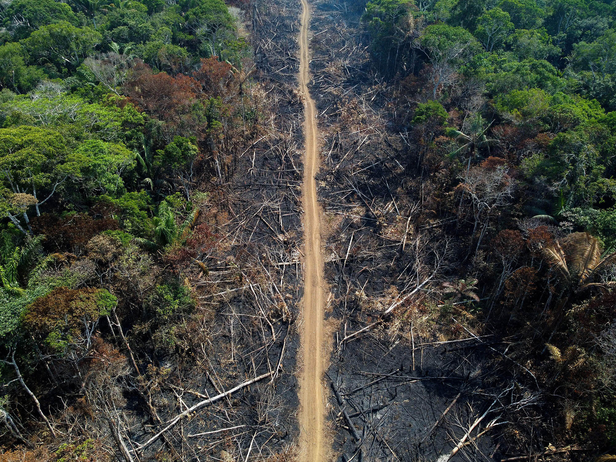 Can Amazon Countries Save the Rain Forest? | Council on Foreign Relations
